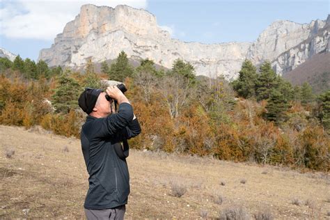 Le Dauphin Des Enfants Un Gypa Te Barbu Est N Dans Le Vercors