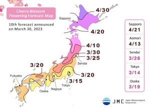 Japan Cherry Blossom Forecast 2023 | Japan Travel Advice