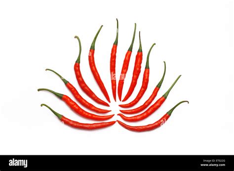 Chilli Flower Hi Res Stock Photography And Images Alamy