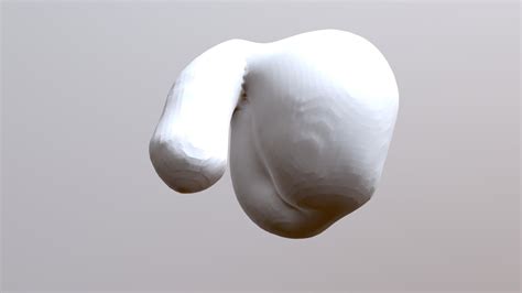 Penis 3d Model By Evan Pachon Evanpachon [baf6b12] Sketchfab