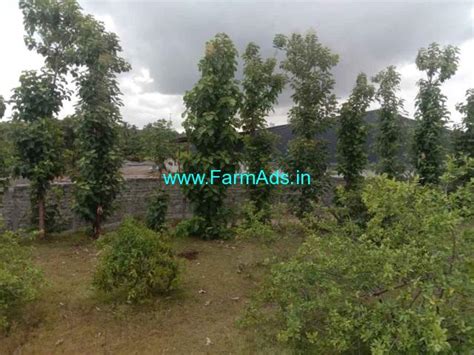 Acres Fully Developed Agriculture Land Sale Near Shoolagiri