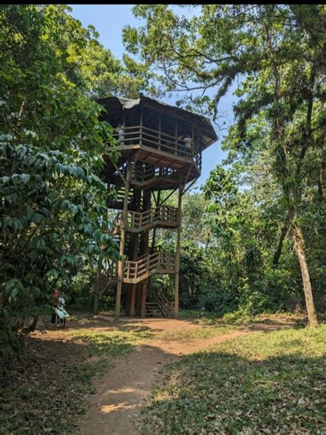 Parque Eco Arqueológico Los Naranjos lugar que combina la riqueza de