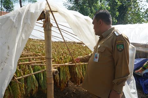 Berpotensi Dan Punya Prospek Blora Bertekat Kembangkan Pertanian