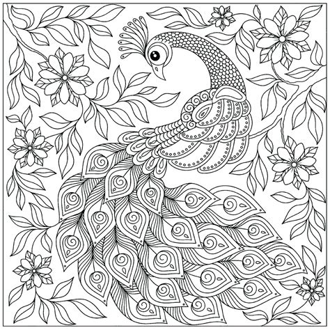 Printable Peacock Coloring Pages