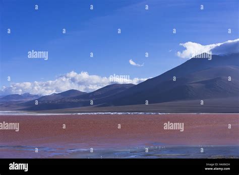 Bolivia Red Lake Stock Photo Alamy