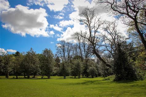 Banco de imagens panorama árvore natureza grama nuvem plantar