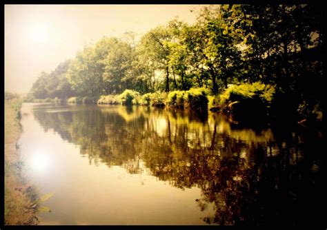 Wallpaper Reflection Nature Body Of Water Waterway River Yellow