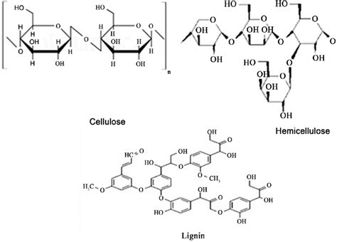 Celulose Hemicelulose E Lignina