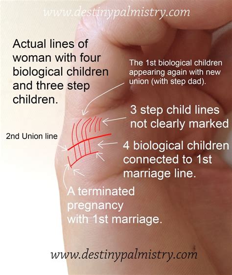 Children Lines in Palmistry Actual Meaning - Destiny Palmistry