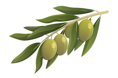 Olive Branch With Green Leaves Cartoon Vector Isolated Illustration