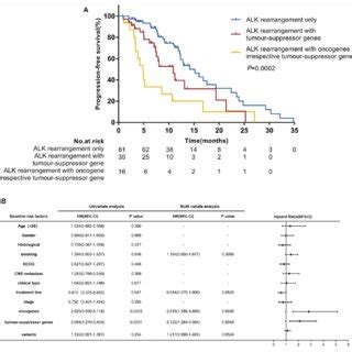 Progression Free Survival Pfs According To Alk Resistance