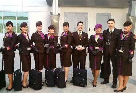 Etihad Airways Cabin Crew Salary Breakdown Benefits Explained