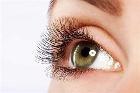 Lash Lifting O Que Como Feito E Benef Cios Adoro Maquiagem