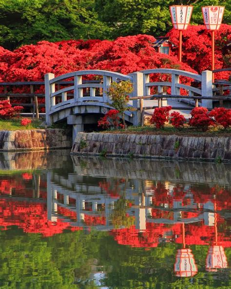 KYOTO MOYOU TABI MOYOU 京都もよう日本旅もよ 過去写真です 行きたいと言う方が急に増えたので バイト