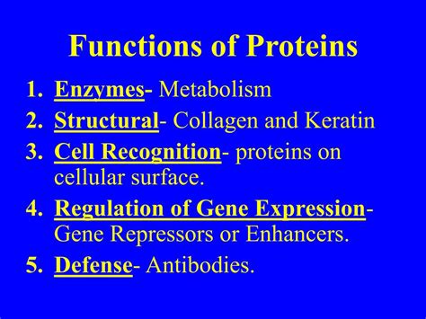 Ppt Proteins Powerpoint Presentation Free Download Id 4150571