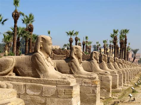 The Avenue Of Sphinxes Luxor