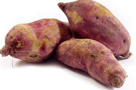 Camote Sweet Potato A Super Food Q COSTA RICA