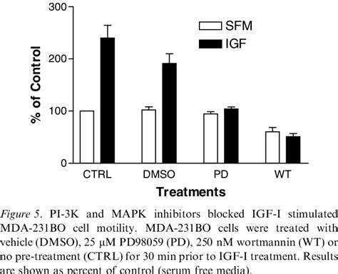 Rock Inhibitor Y 27632 Blocked Mlc Phosphorylation And Motility In Download Scientific Diagram