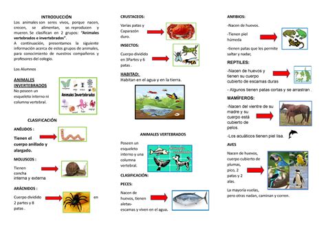 Triptico Animales Vertebrados E Invertebrados Imprimir INTRODUCCIÓN