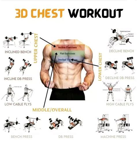 Chest Workout Chart