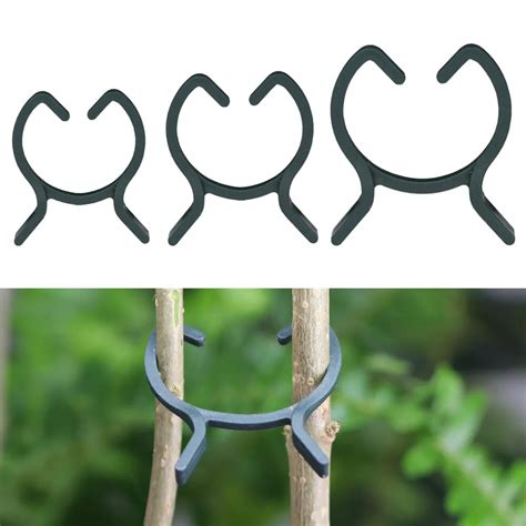 Pinces De Support Pour Plantes De Jardin Id Al Pour Vigne Fleurs Et L