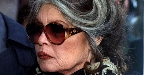 Brigitte Bardot Ans Hospitalis E En Soins Intensifs De Quoi