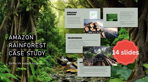 Amazon Rainforest Case Study A Level Geography Ocr Elss Teaching