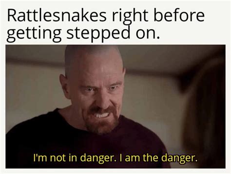 The Best Rattlesnakes Memes Memedroid