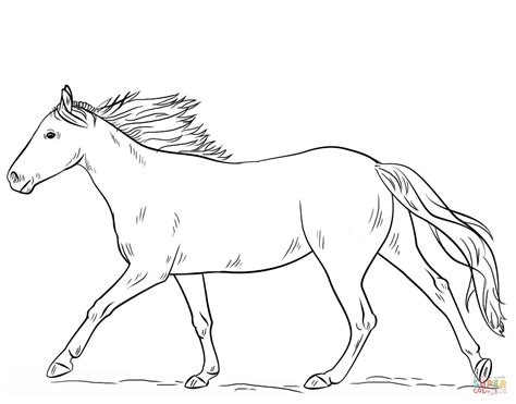 Quarter Horse Running Coloring Pages Coloring Pages