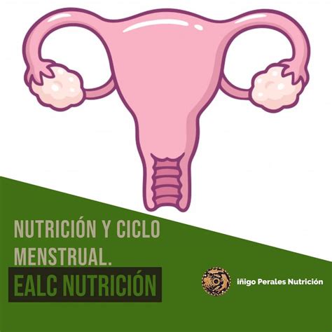 Entrena A La Carta Nutrición Nutrición Y Ciclo Menstrual