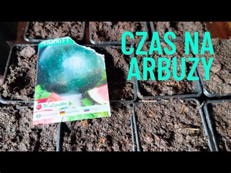 Jak Sia Arbuza Youtube