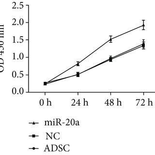 MiR 20a Overexpression Promotes Cell Proliferation And Inhibits