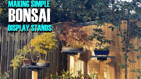 Simple Monkey Pole Bonsai Display Stands YouTube