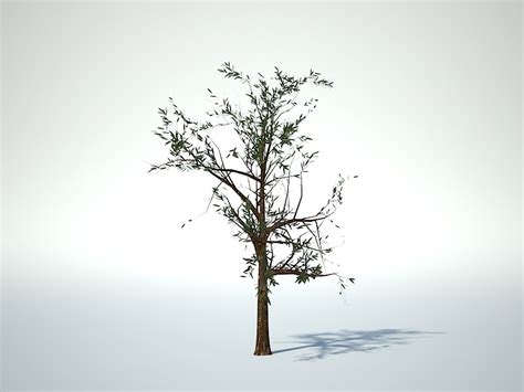 3d tree model