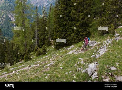 Hiking in the Tyrolean Alps Stock Photo - Alamy