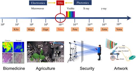 Frontiers Applications Of Terahertz Spectroscopy In The Detection And