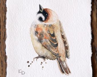 Female Sparrow Art Sparrow Watercolor Painting Giclee Etsy