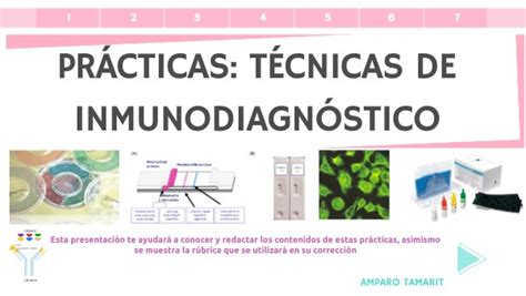 Pr Cticas T Cnicas Inmunodiagn Stico