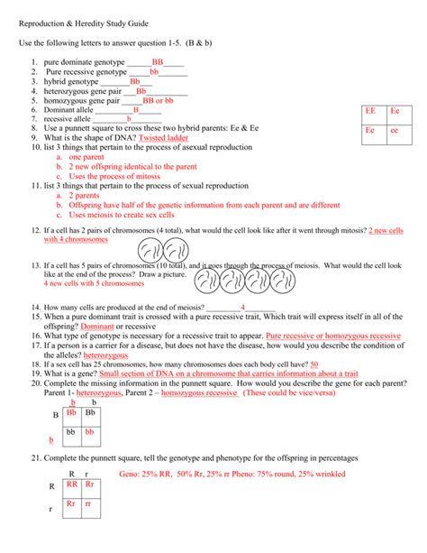 Reproduction And Heredity Study Guide