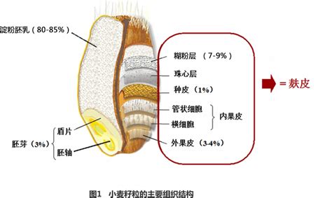 知食坊