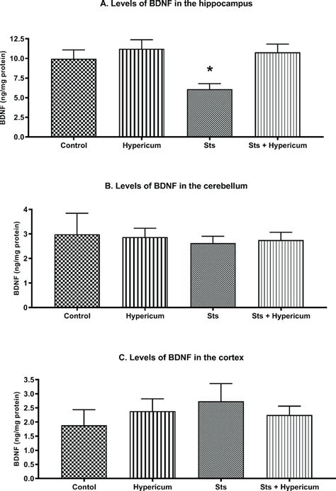 BDNF Levels In The Hippocampus Cerebellum And Cortex Of Rats In The