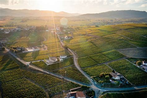 Wine 101- The Fascinating Beaujolais