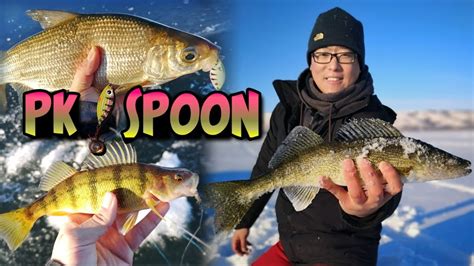 New Year S Multi Species Ice Fishing With Pk Spoon On Echo Lake