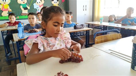 Frutas sazonais oferecem mais opções de alimento na merenda escolar