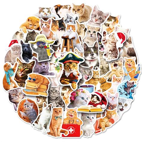 50Pcs Funny Cat Stickers - Wholesale Stickers