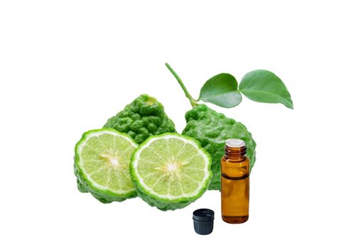 Kaffir Lime Oil – Agri-Essence (Singapore) Co. Pte. Ltd.