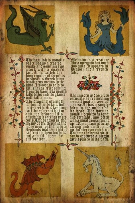 The Medieval Manuscript Wlth A Picture Of Melusine Medieval Books