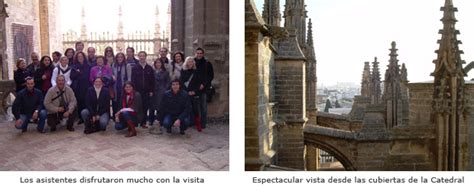 Los Colegiados Visitan Las Cubiertas De La Catedral De Sevilla