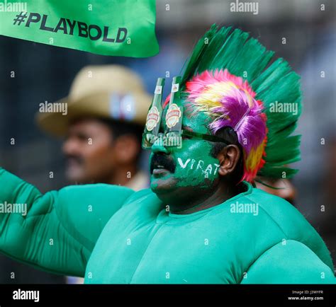 India Cricket Fan Stadium Hi Res Stock Photography And Images Alamy