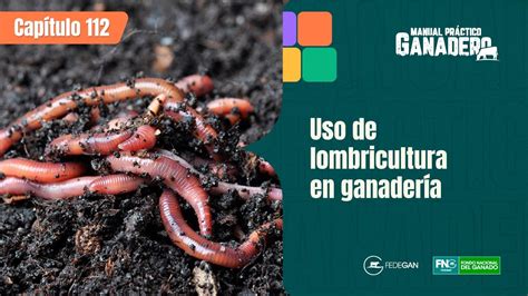 Cap Uso De Lombricultura En Ganader A Manualpracticoganadero